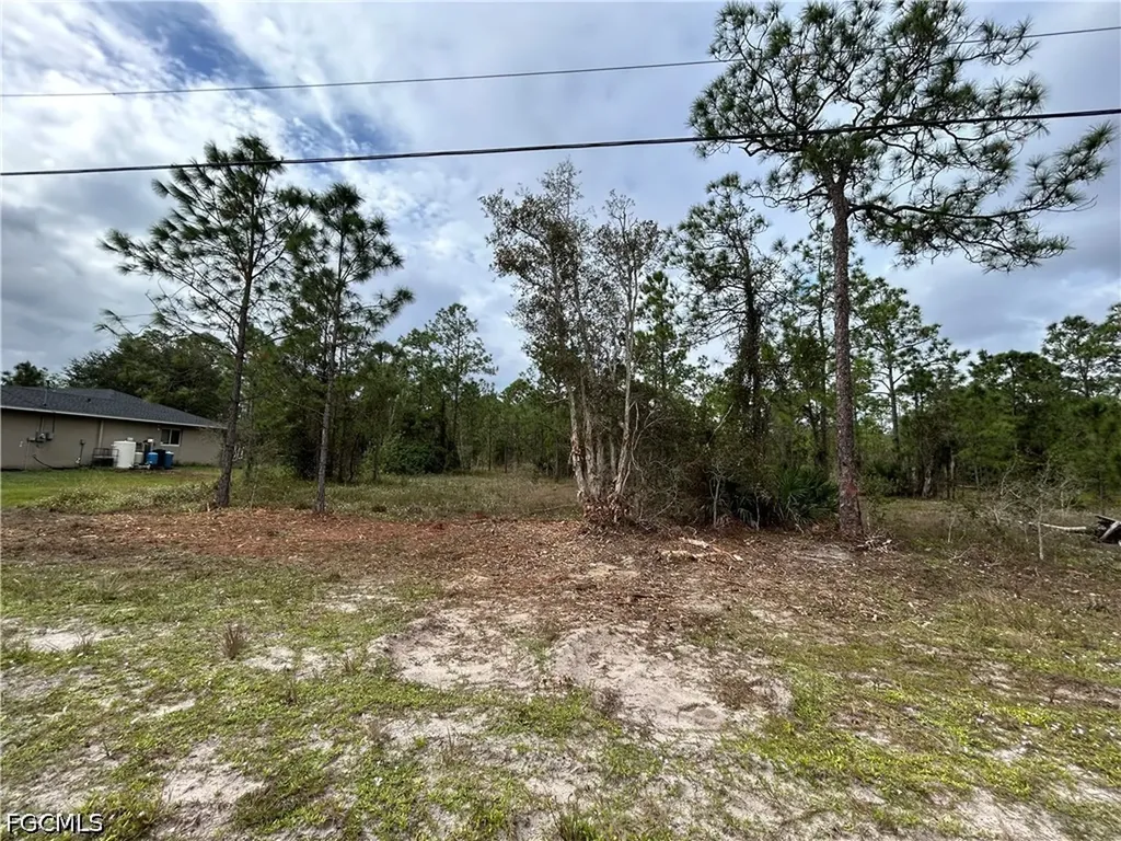 445 Jaguar Boulevard Lehigh Acres FL 33936