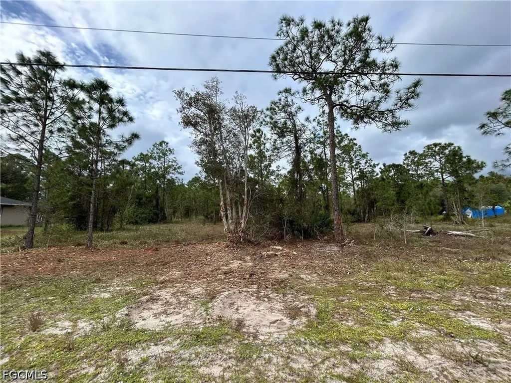 445 Jaguar Boulevard Lehigh Acres FL 33936
