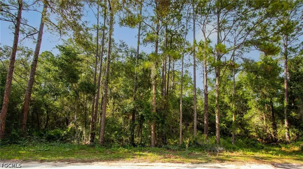 7176 Norway Street Webster FL 33597