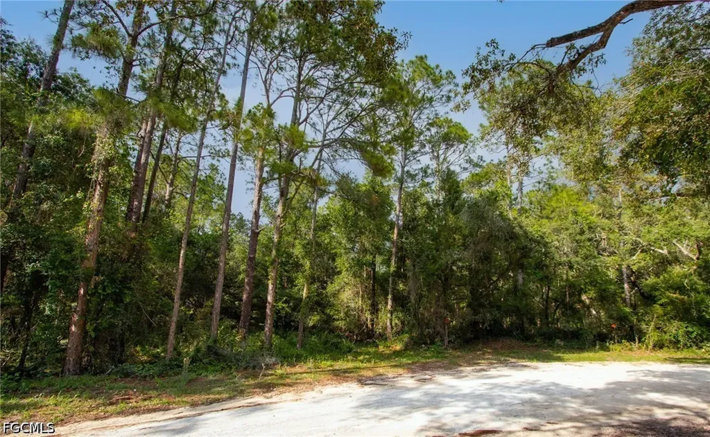 7176 Norway Street Webster FL 33597