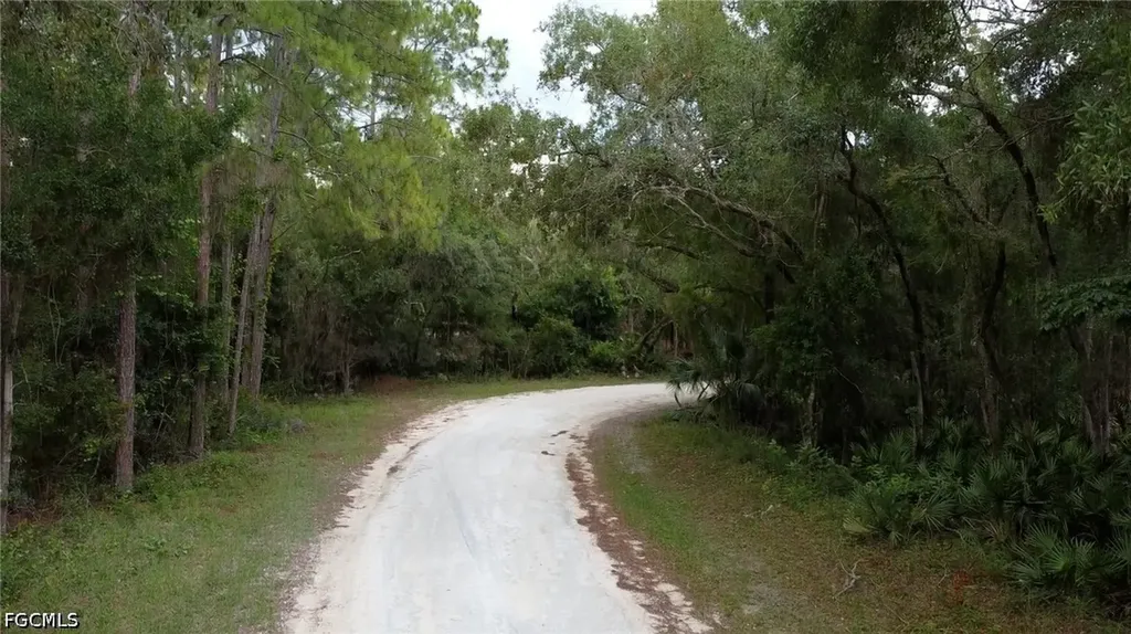 7176 Norway Street Webster FL 33597