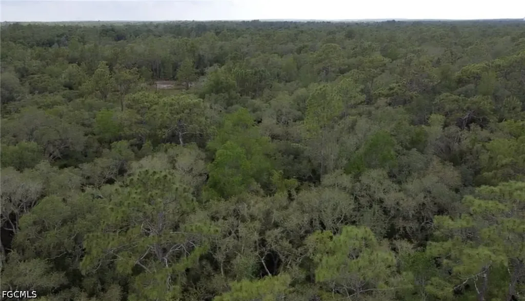 34287 Berryhill Drive Webster FL 33597