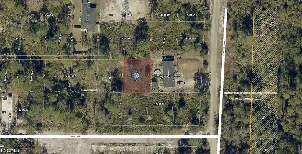 21-19-27-0100-000-14400 Sunrise Boulevard Mount Dora FL 32757