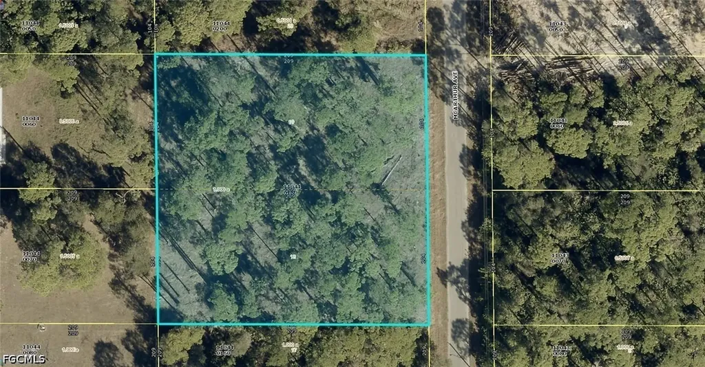 1911 Mcarthur Avenue Lehigh Acres FL 33972