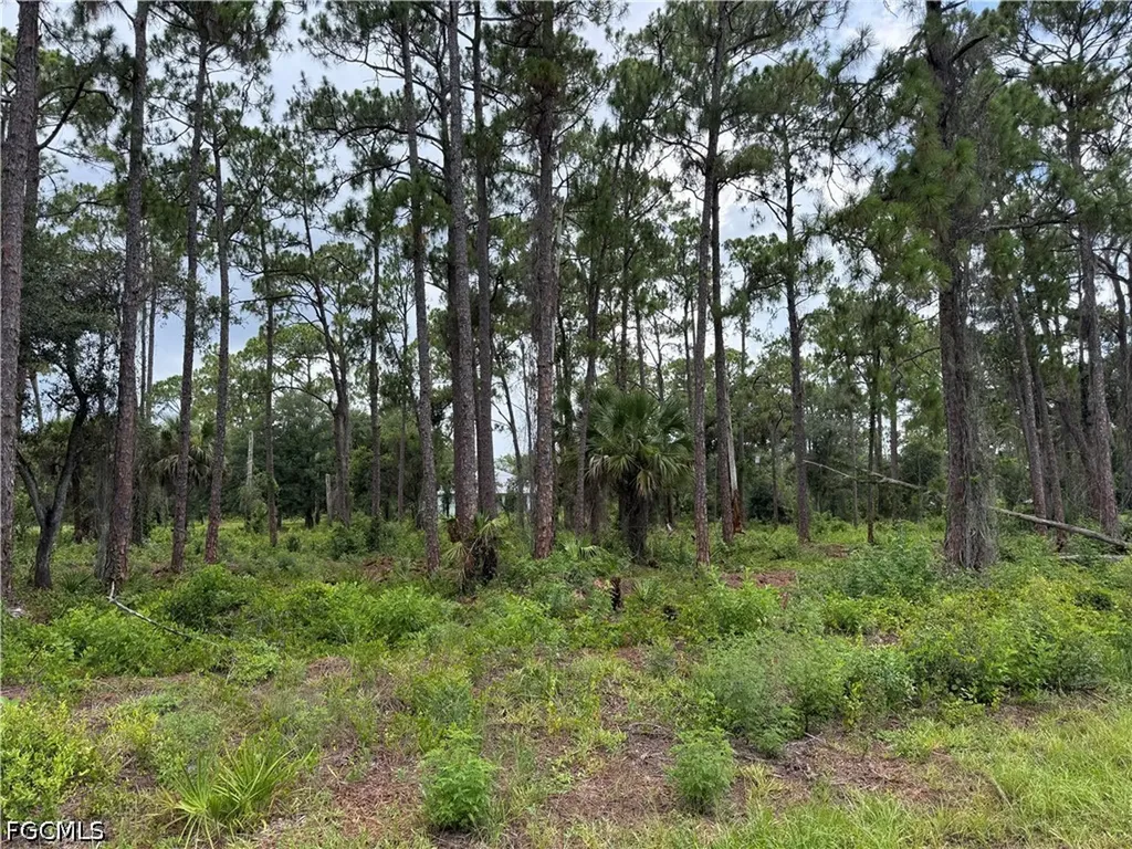 1911 Mcarthur Avenue Lehigh Acres FL 33972