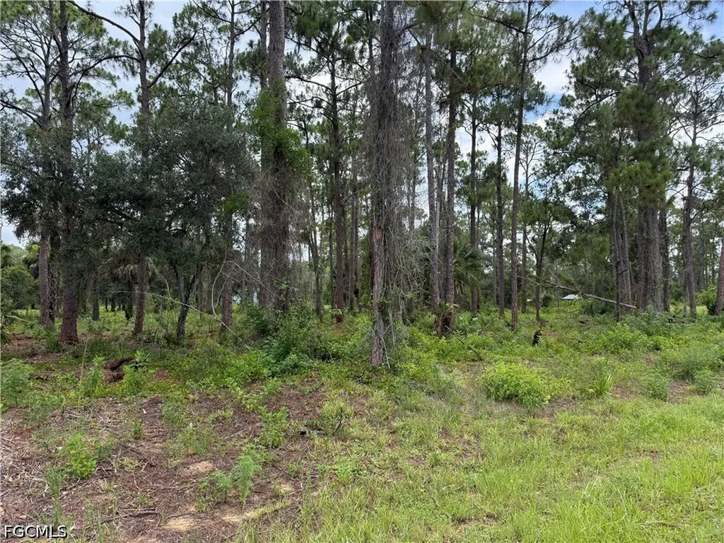 1911 Mcarthur Avenue Lehigh Acres FL 33972