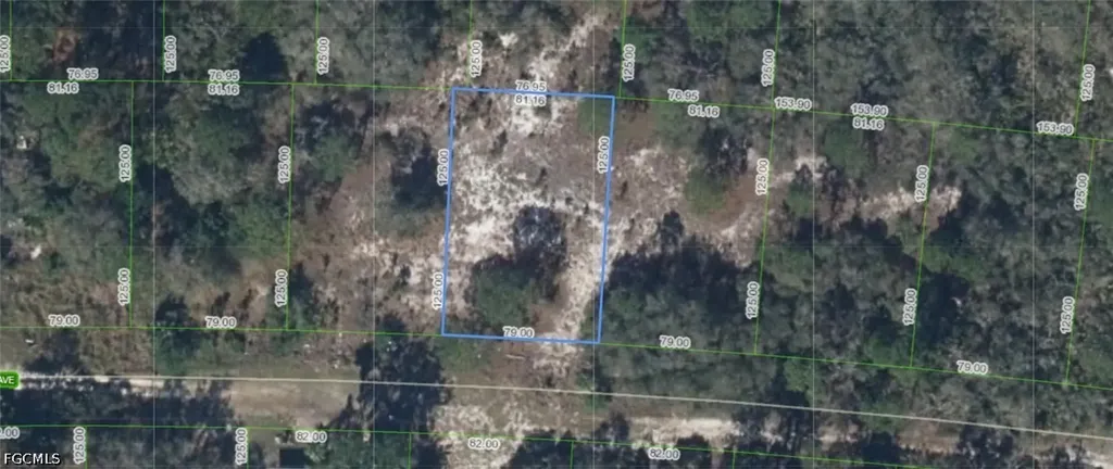 318 Glenbrier Avenue Lake Placid FL 33852