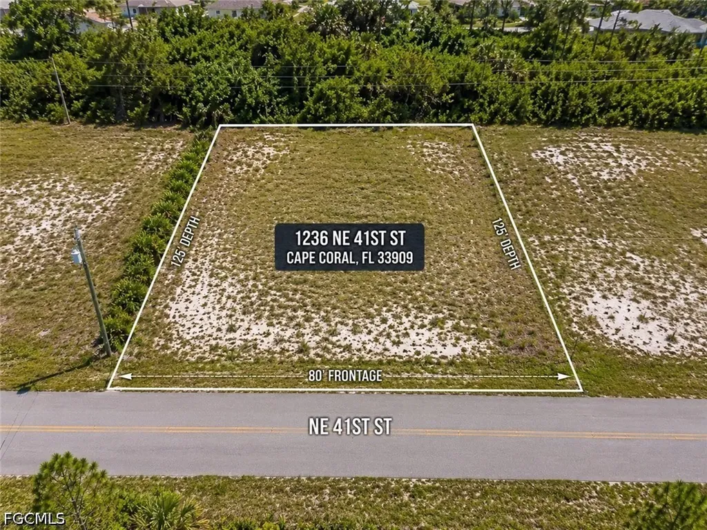1236 NE 41st Street Cape Coral FL 33909