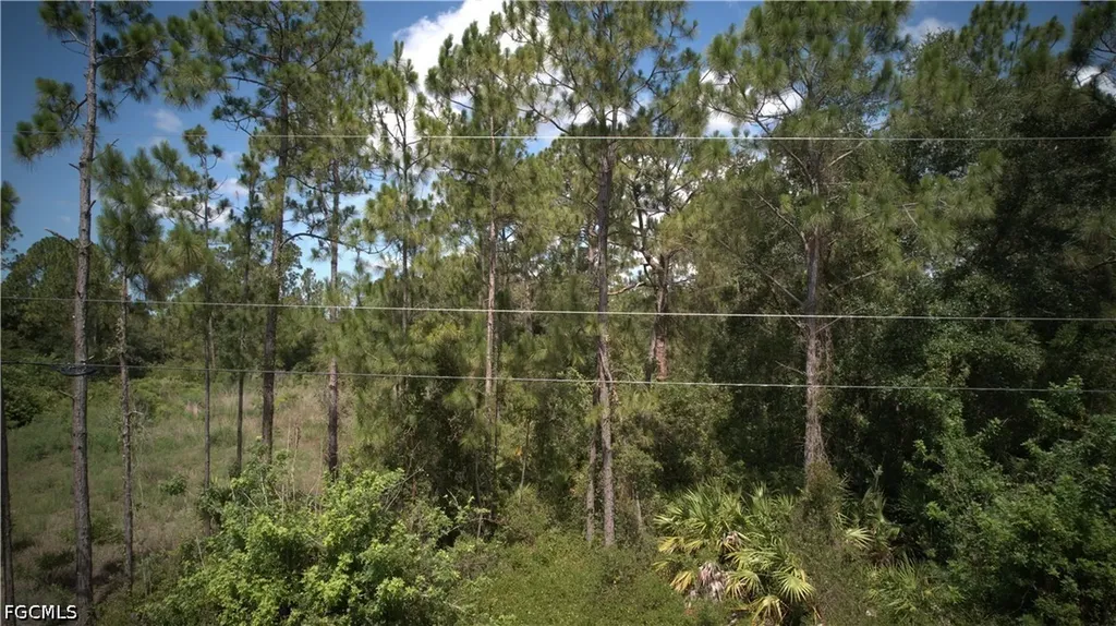 1515 Lincoln Avenue Lehigh Acres FL 33972