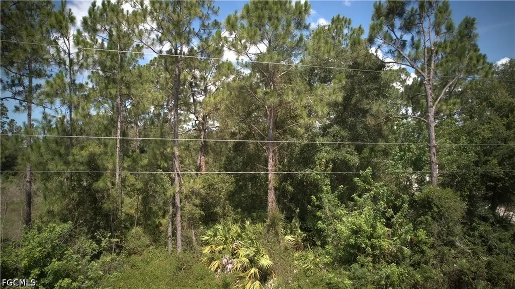 1515 Lincoln Avenue Lehigh Acres FL 33972