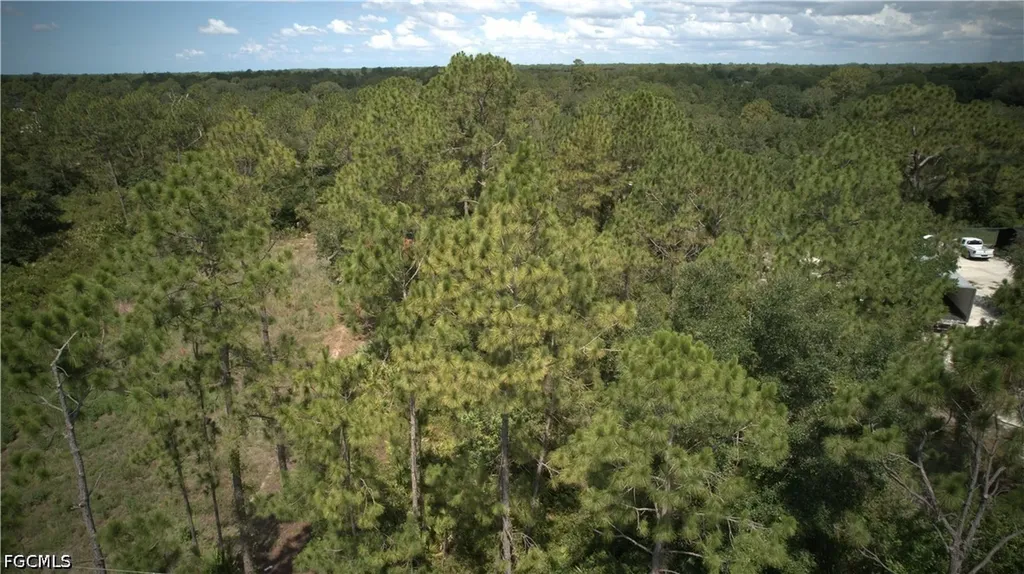 1515 Lincoln Avenue Lehigh Acres FL 33972