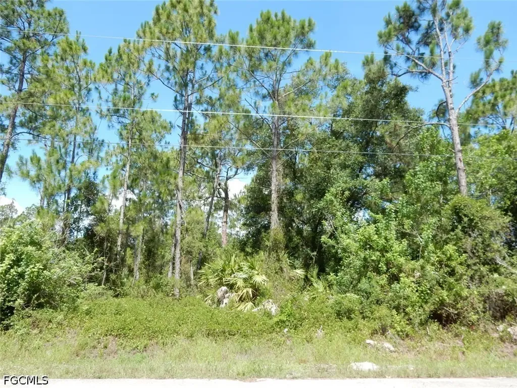 1515 Lincoln Avenue Lehigh Acres FL 33972