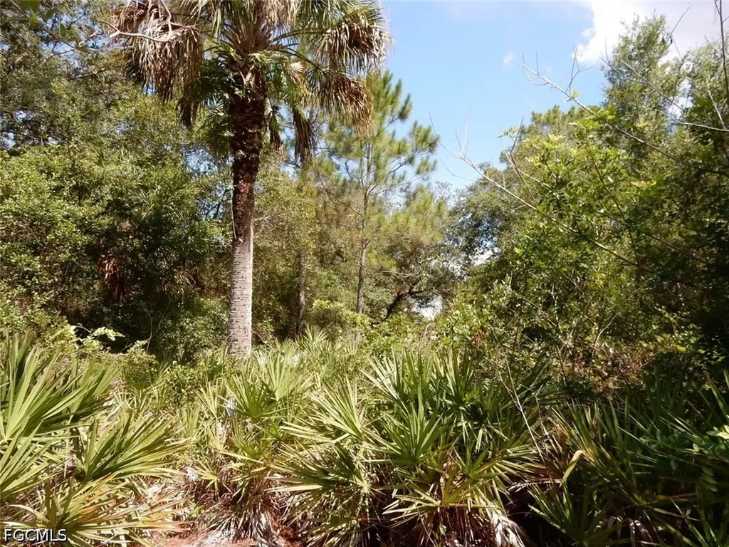 1515 Lincoln Avenue Lehigh Acres FL 33972