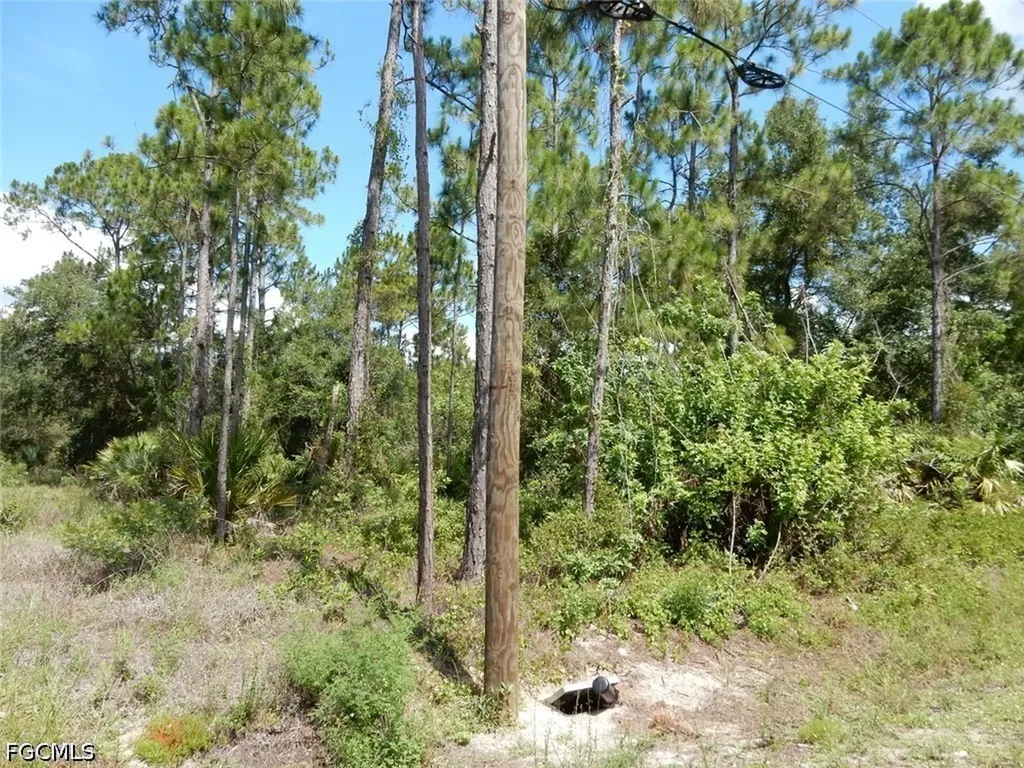 1515 Lincoln Avenue Lehigh Acres FL 33972