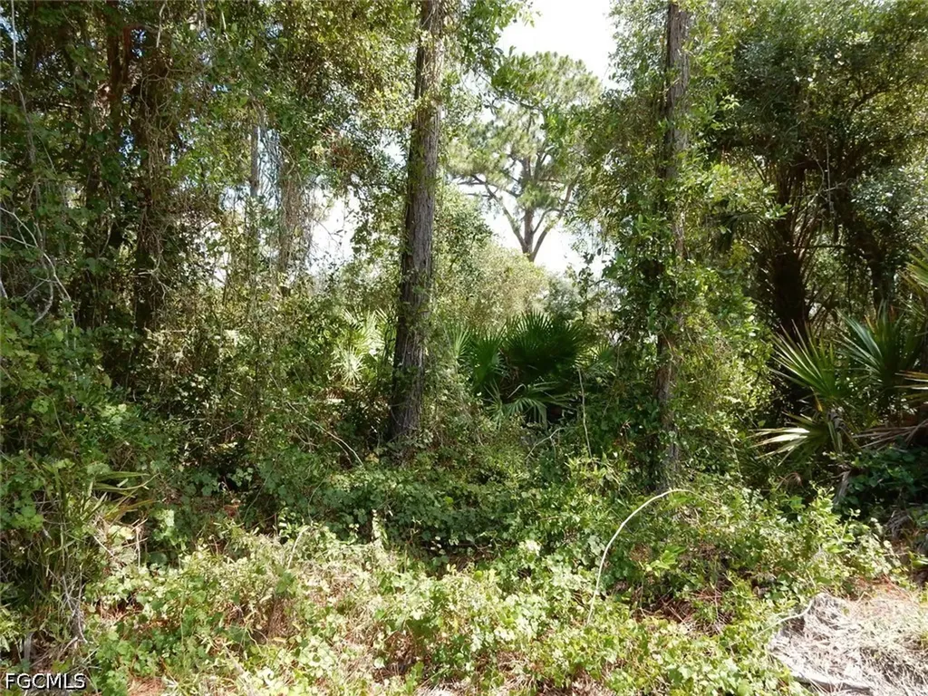 1515 Lincoln Avenue Lehigh Acres FL 33972