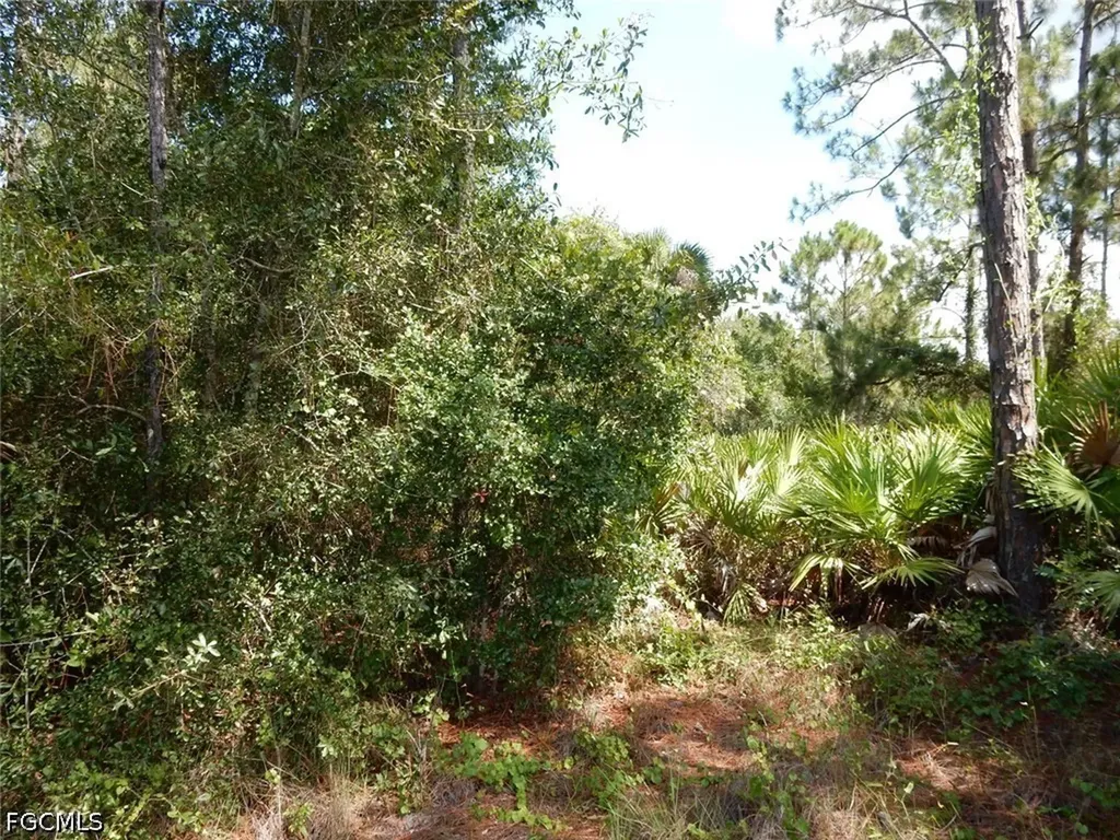 1515 Lincoln Avenue Lehigh Acres FL 33972