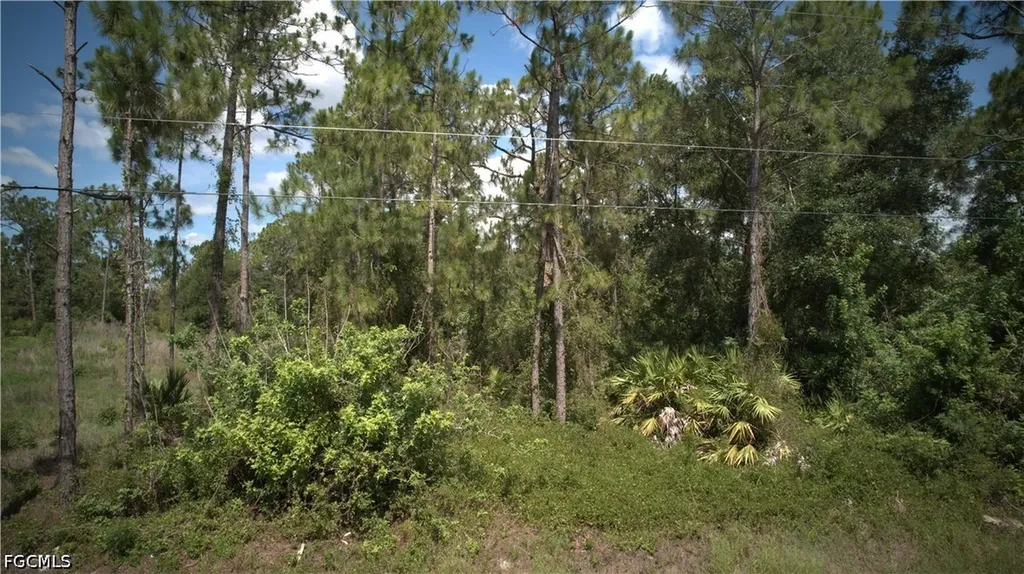 1515 Lincoln Avenue Lehigh Acres FL 33972