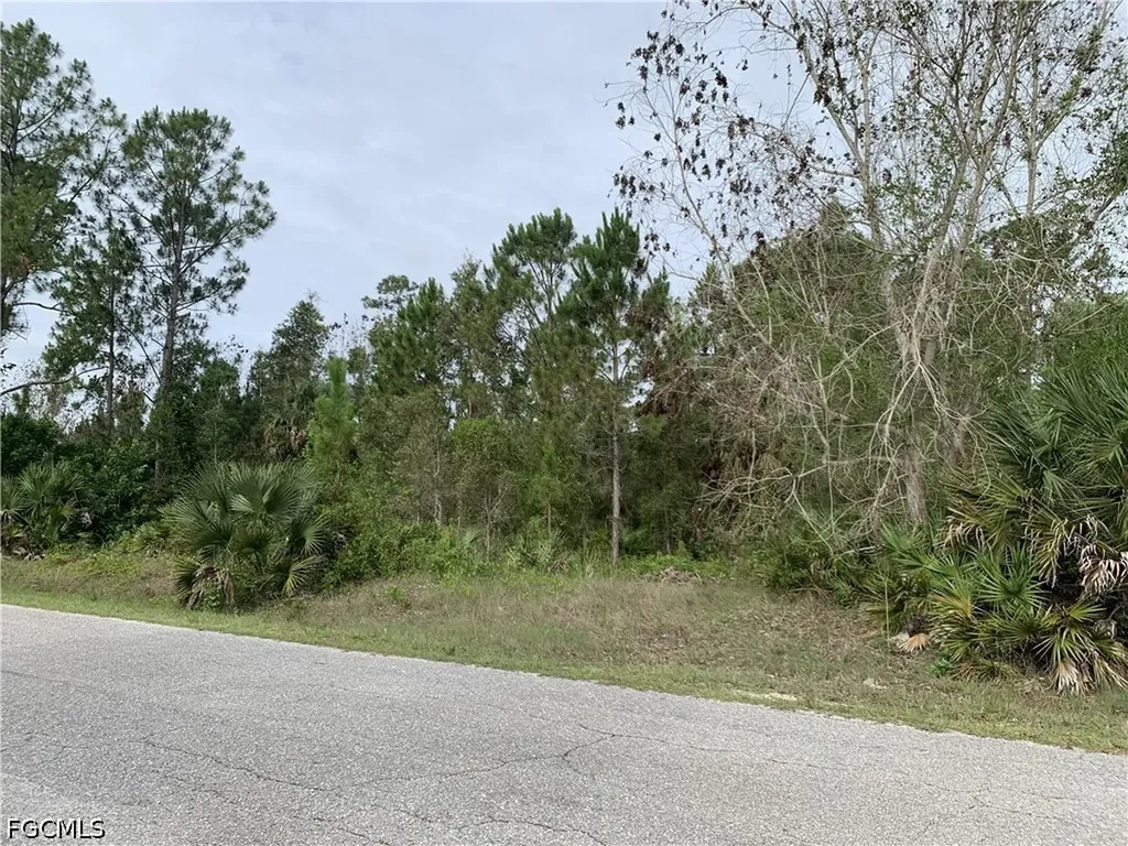 1019 Cleveland Avenue Lehigh Acres FL 33972