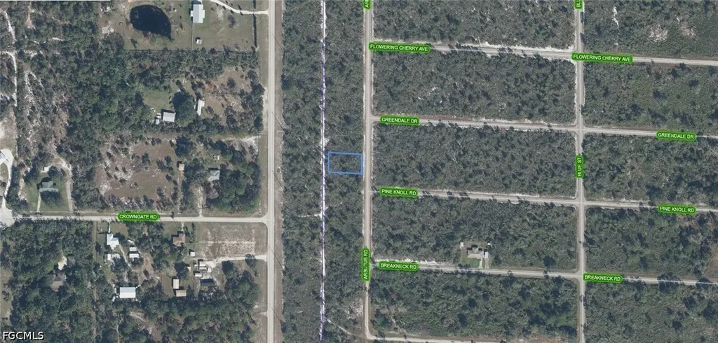 3598 Boomer Street Lake Placid FL 33852