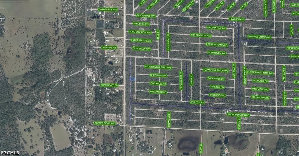 3598 Boomer Street Lake Placid FL 33852