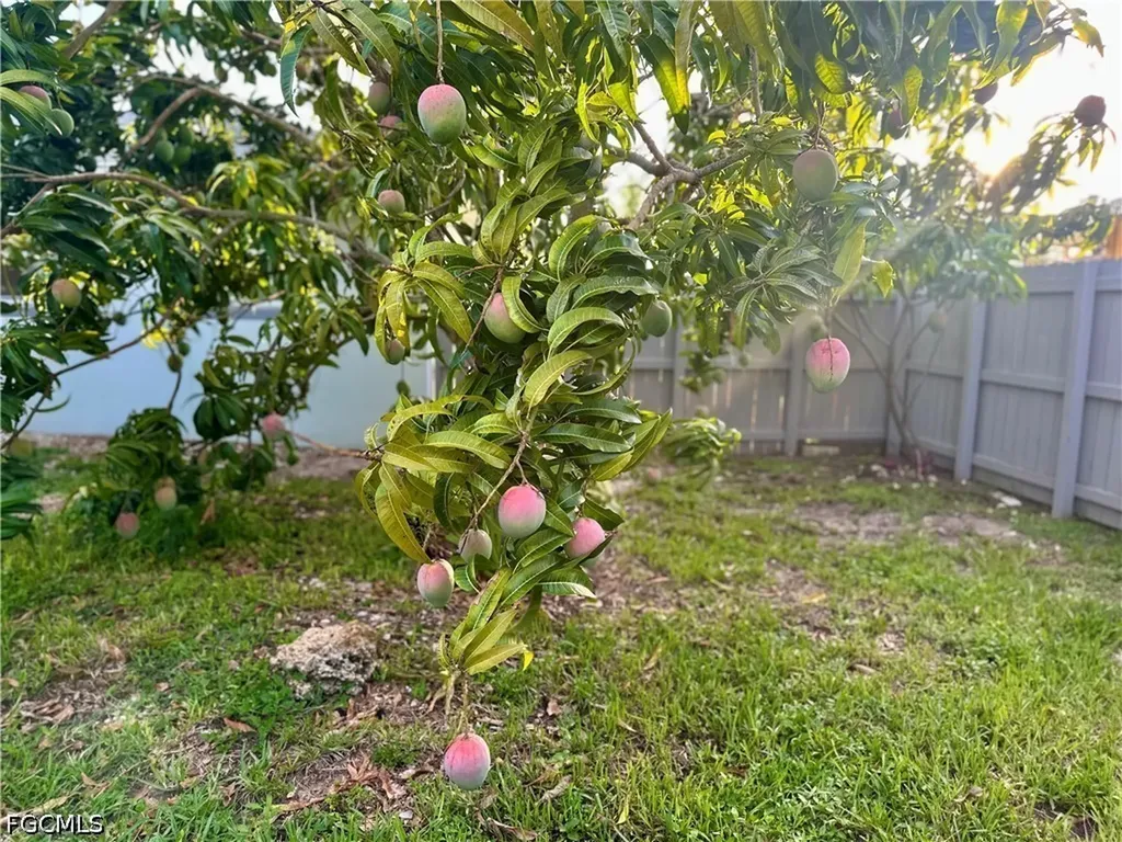 1495 Cranville Square Fort Myers FL 33919