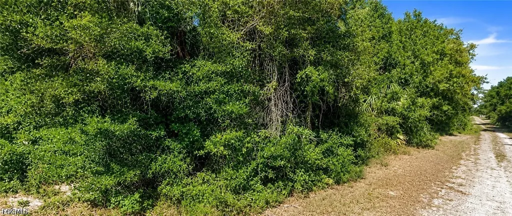 5900 Vera Avenue N Lehigh Acres FL 33971