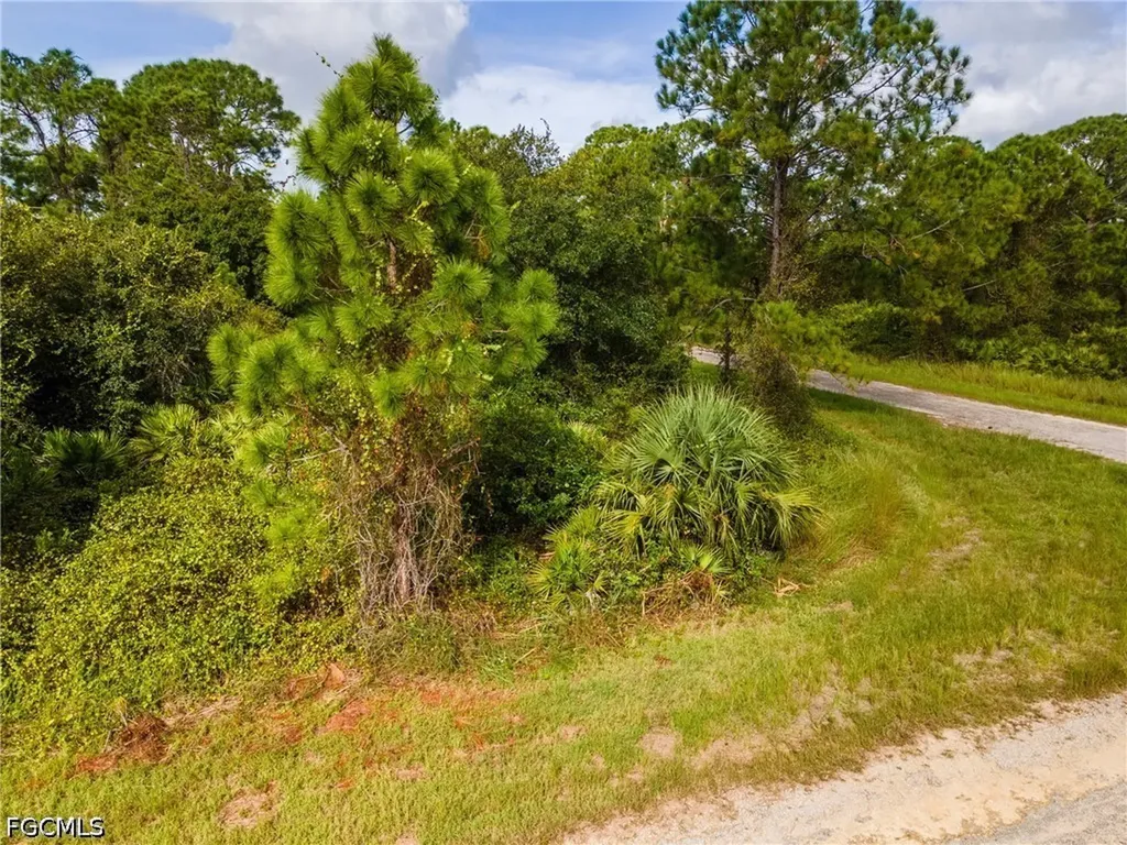 1068 Belmont Street E Lehigh Acres FL 33974