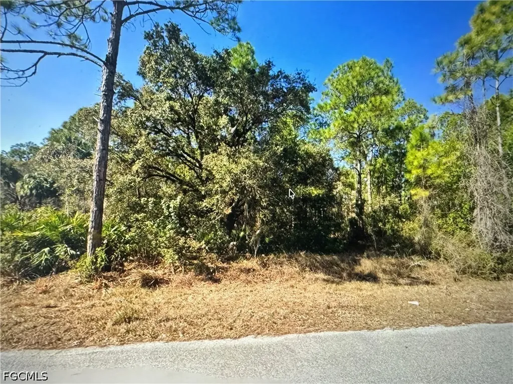 1313 Euclid Avenue Lehigh Acres FL 33972
