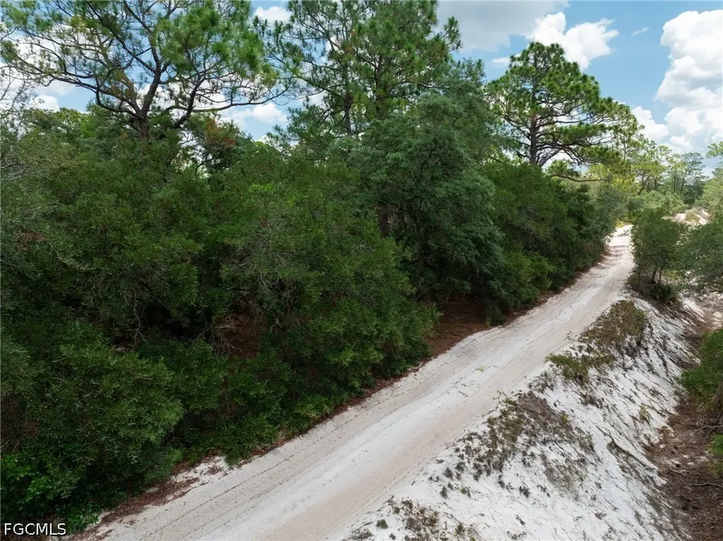 3238 Gossamer Avenue Lake Placid FL 33852