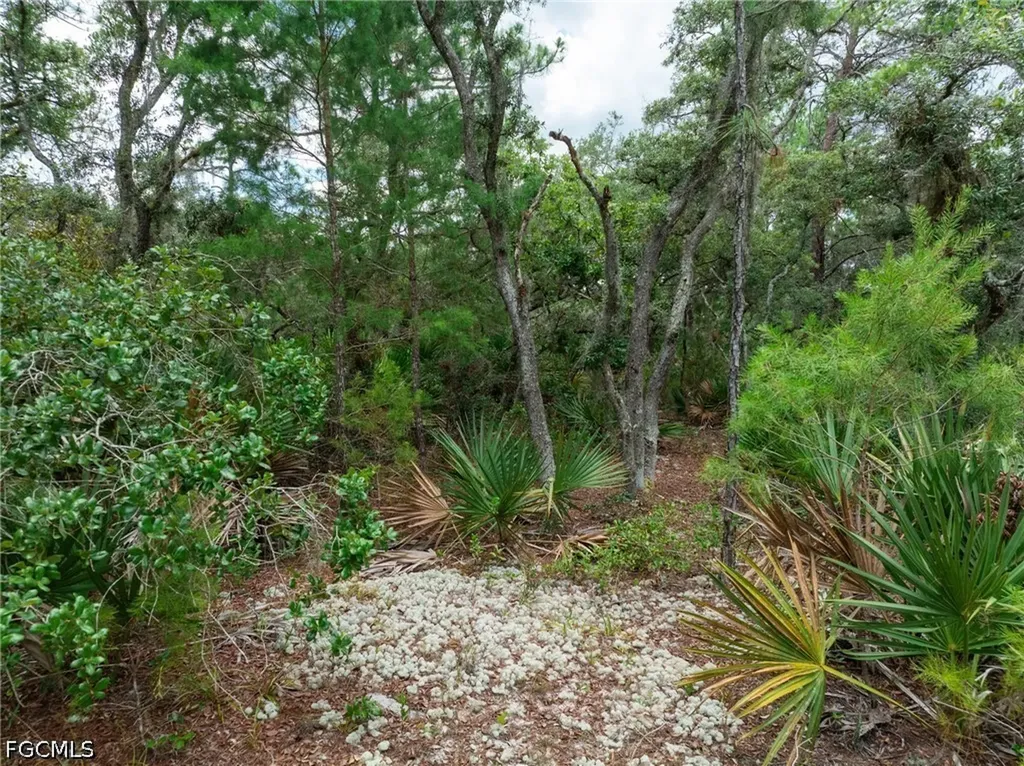 3238 Gossamer Avenue Lake Placid FL 33852