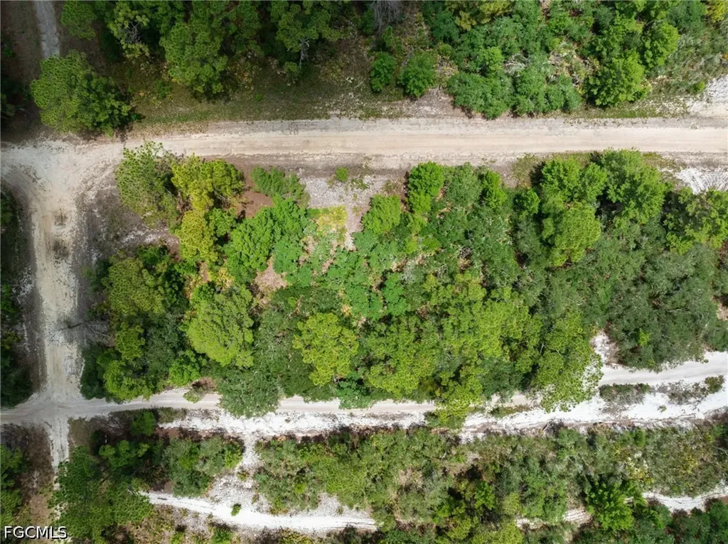 3238 Gossamer Avenue Lake Placid FL 33852