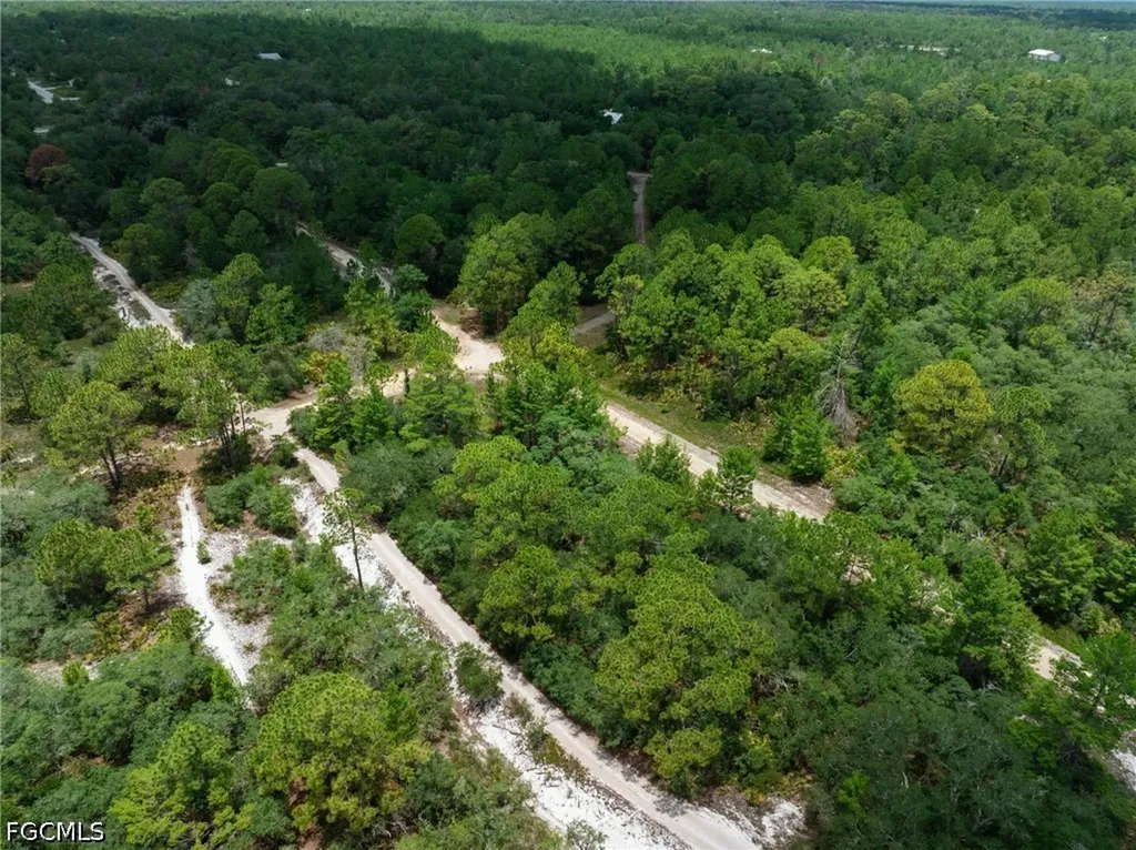 3238 Gossamer Avenue Lake Placid FL 33852