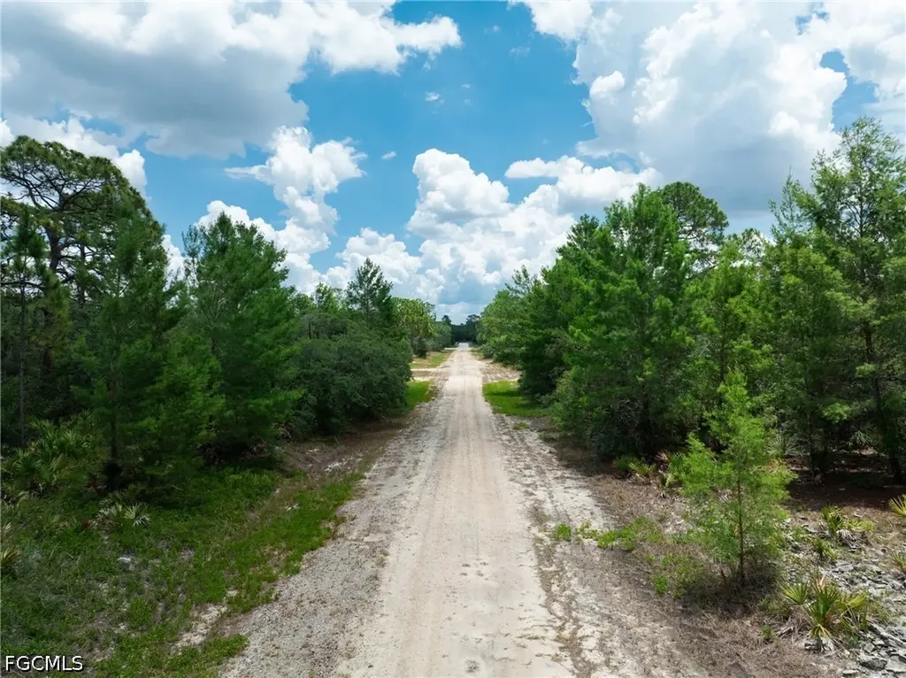 3238 Gossamer Avenue Lake Placid FL 33852