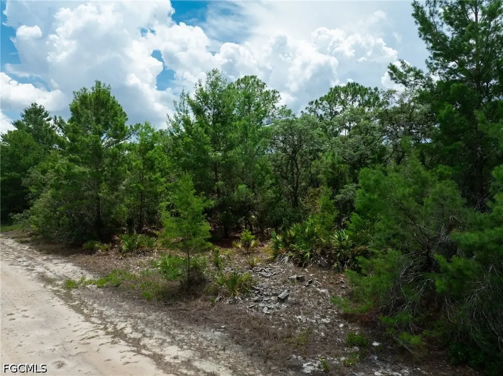 3238 Gossamer Avenue Lake Placid FL 33852
