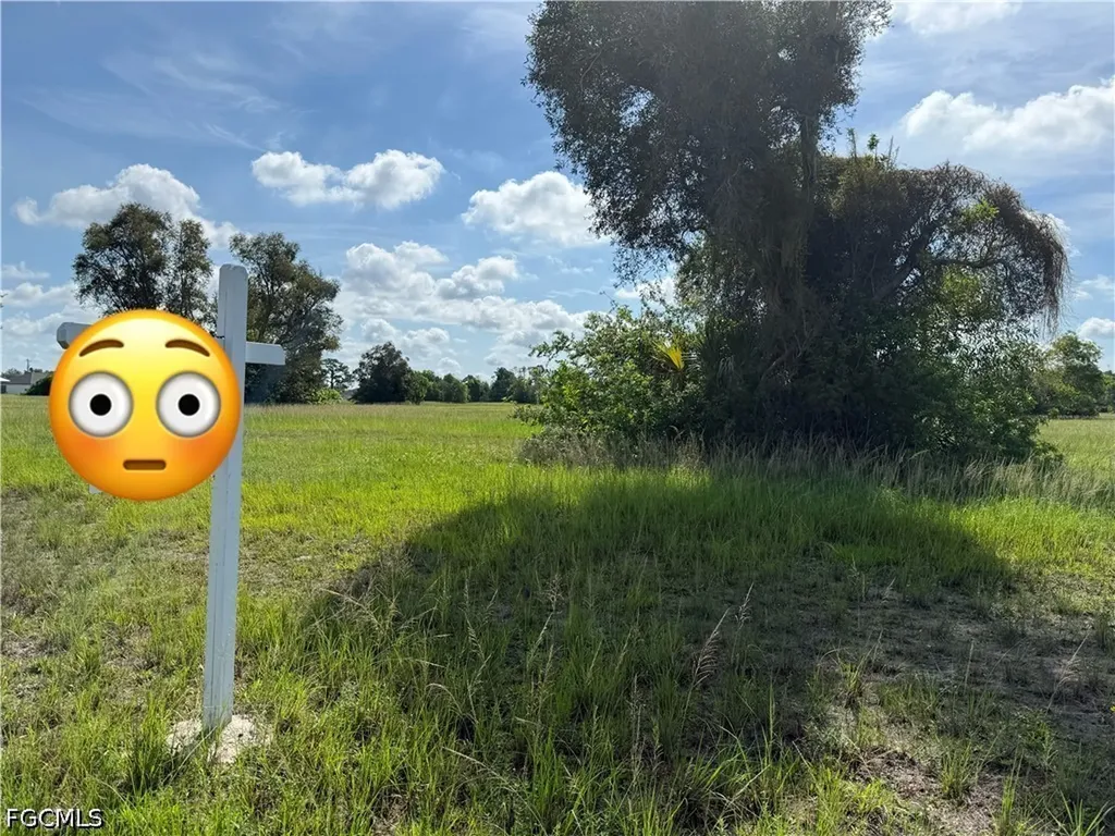 1627 NW 5th Avenue Cape Coral FL 33993