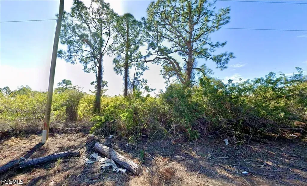 1018 Lakeside Drive Lehigh Acres FL 33974