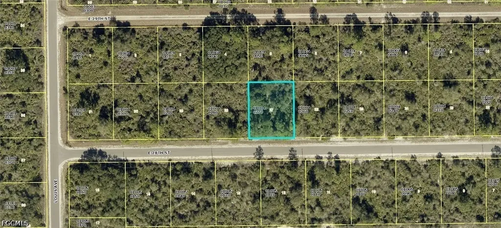 4199 E 28th Street Alva FL 33920