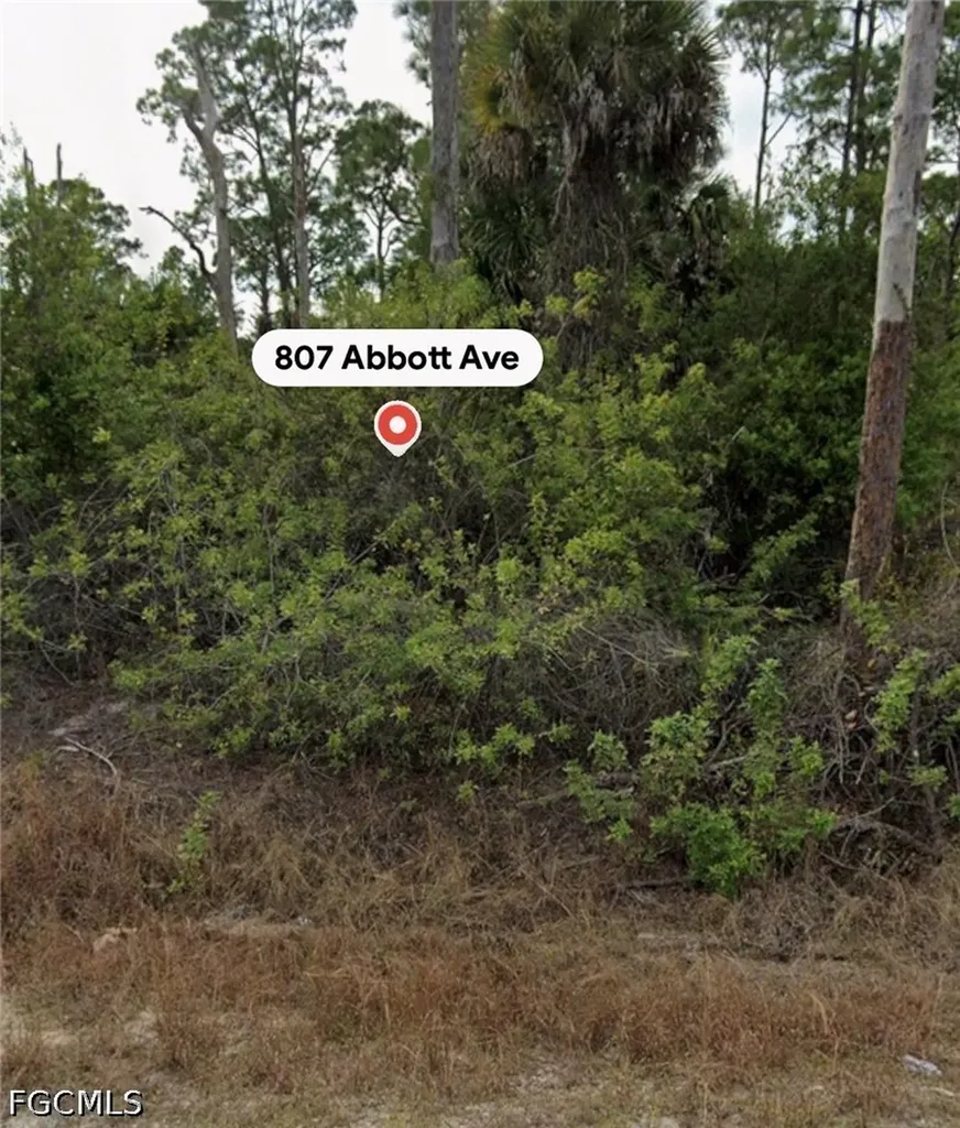 807 Abbott Avenue Lehigh Acres FL 33972