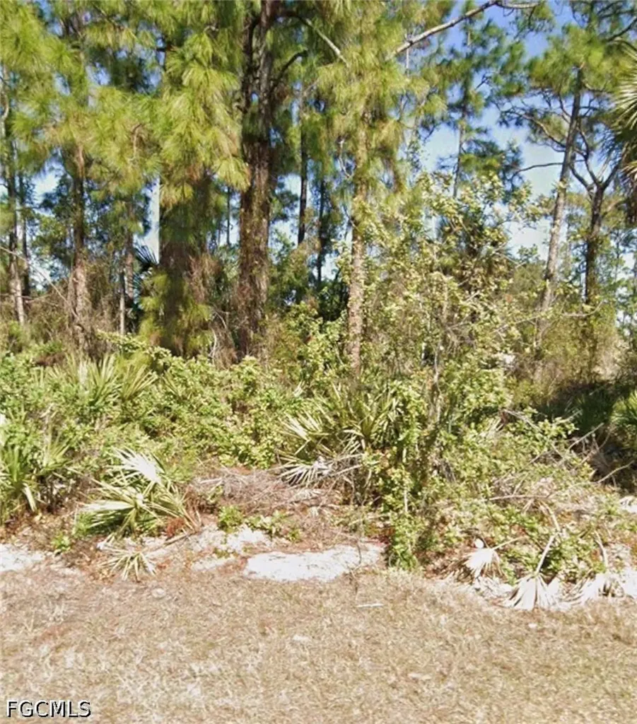 306 W 9th Street Lehigh Acres FL 33972