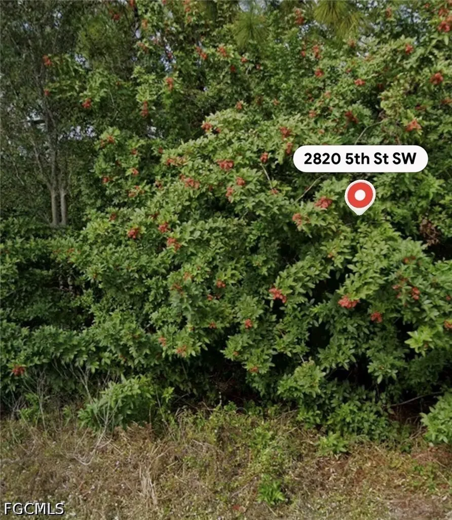 2820 5th Street SW Lehigh Acres FL 33976