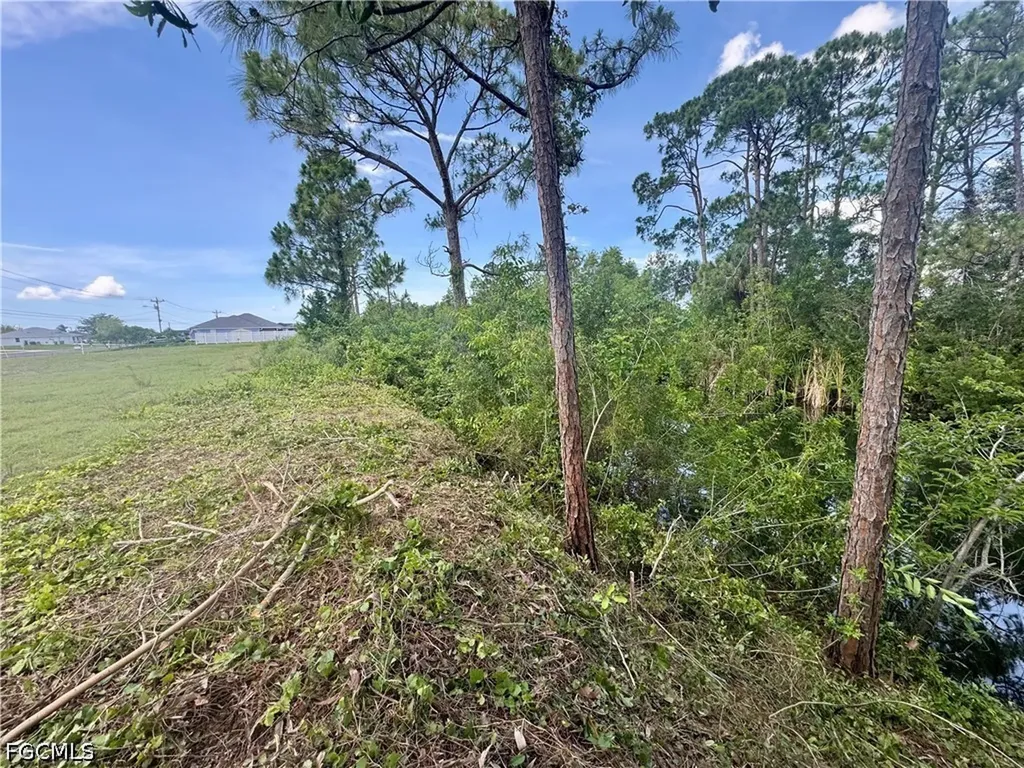 207 Wilmington Parkway Cape Coral FL 33993