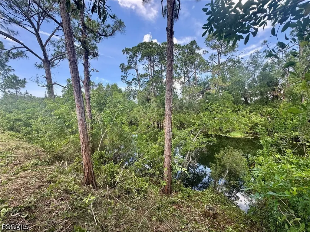 207 Wilmington Parkway Cape Coral FL 33993