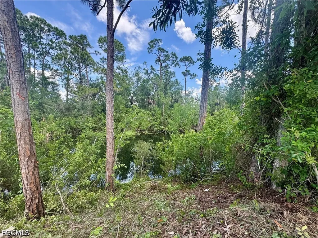 207 Wilmington Parkway Cape Coral FL 33993