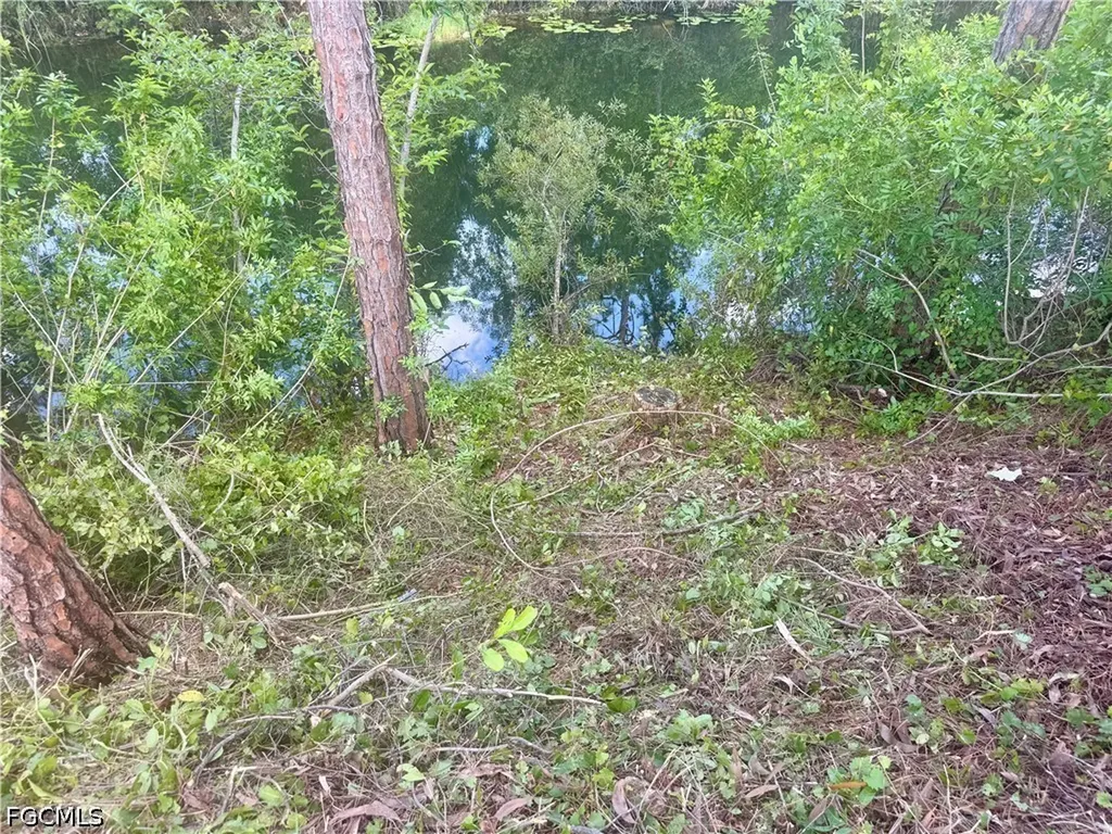 207 Wilmington Parkway Cape Coral FL 33993