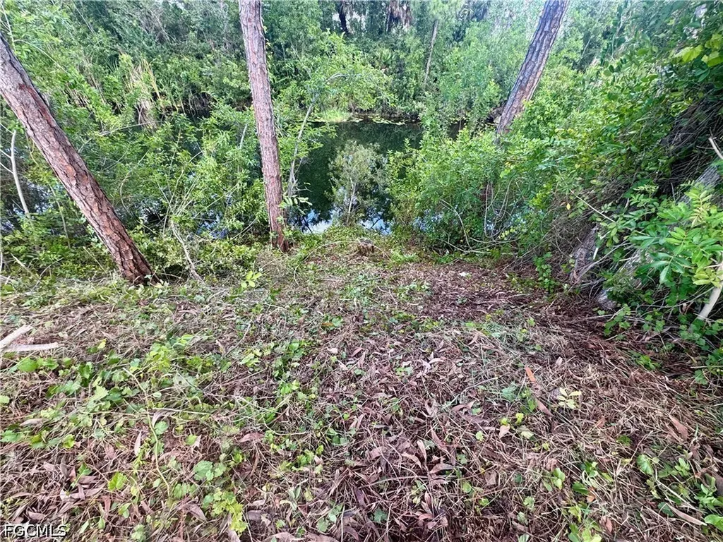207 Wilmington Parkway Cape Coral FL 33993