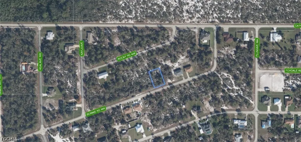 117 Bonnie Road NW Lake Placid FL 33852