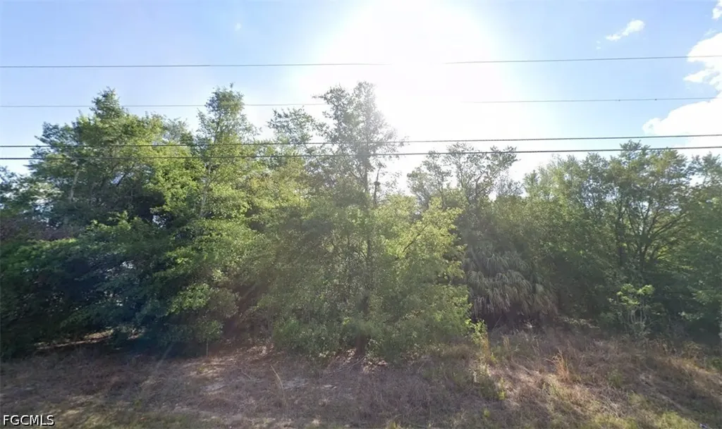 0 SE 92 Court Bellview FL 34420