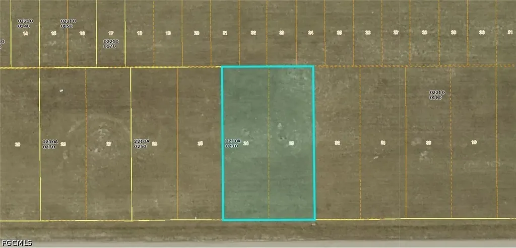 1713 NE 15th Lane Cape Coral FL 33909