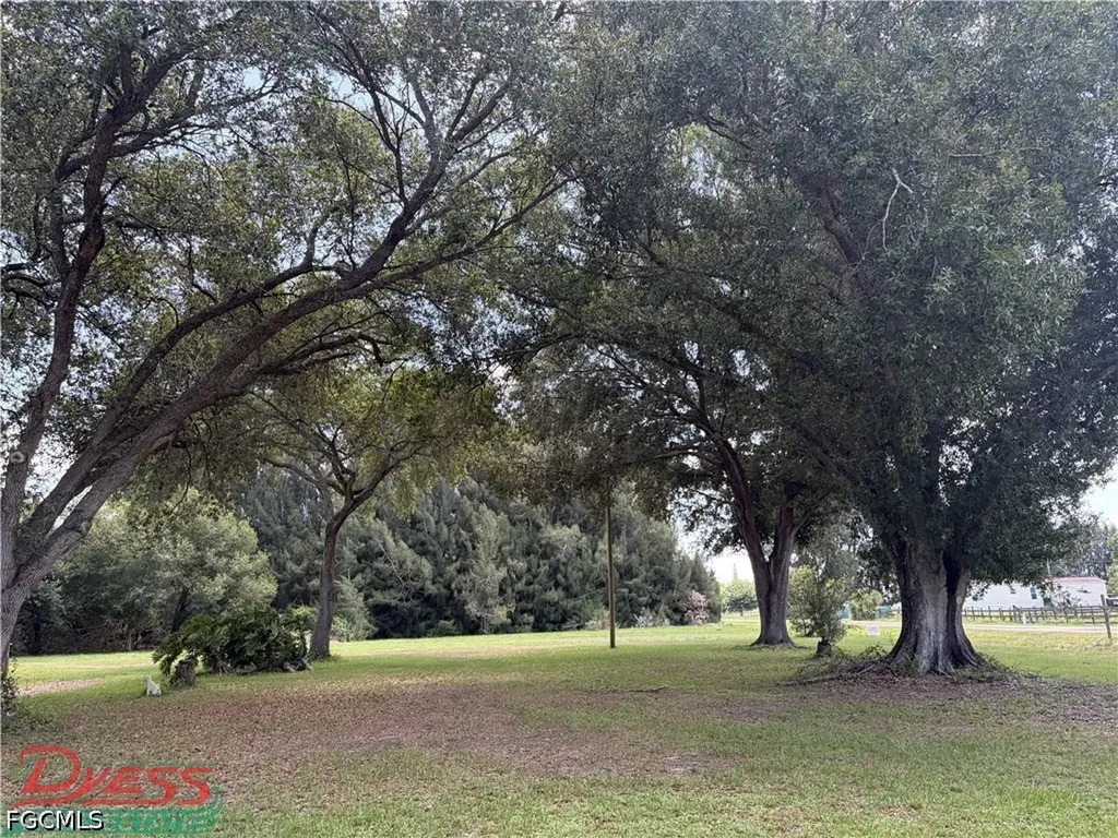 223 Pine Lane Clewiston FL 33440