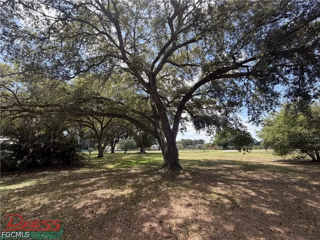 223 Pine Lane Clewiston FL 33440